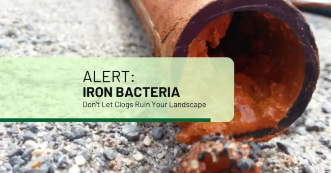 Iron Bacteria Alert Don’t Let Clogs Ruin Your Landscape