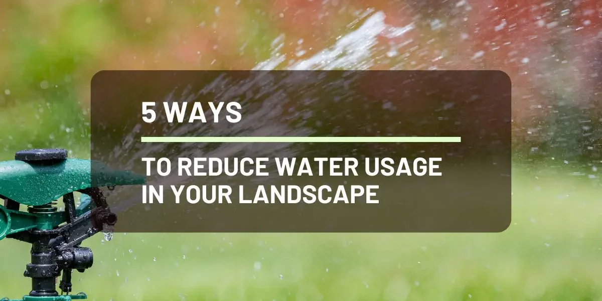 5 Ways to Reduce Water Usage