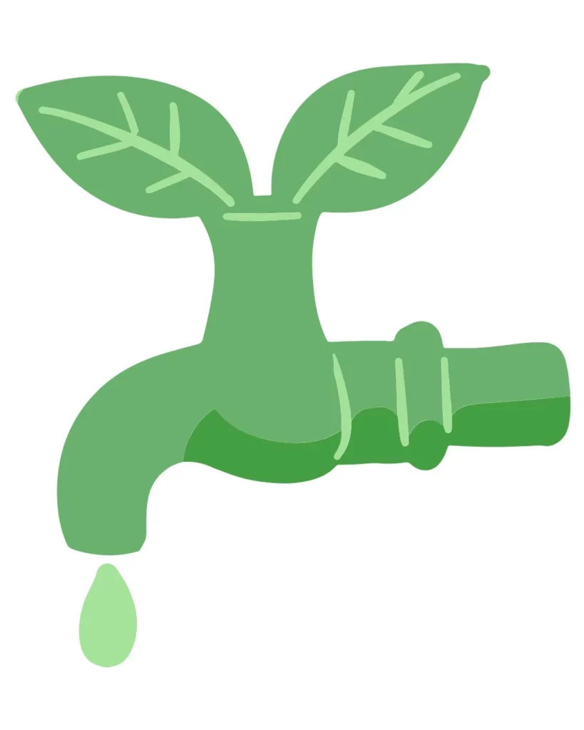 should I water Florida Lawn in winter