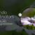 Pollinator Garden Guide